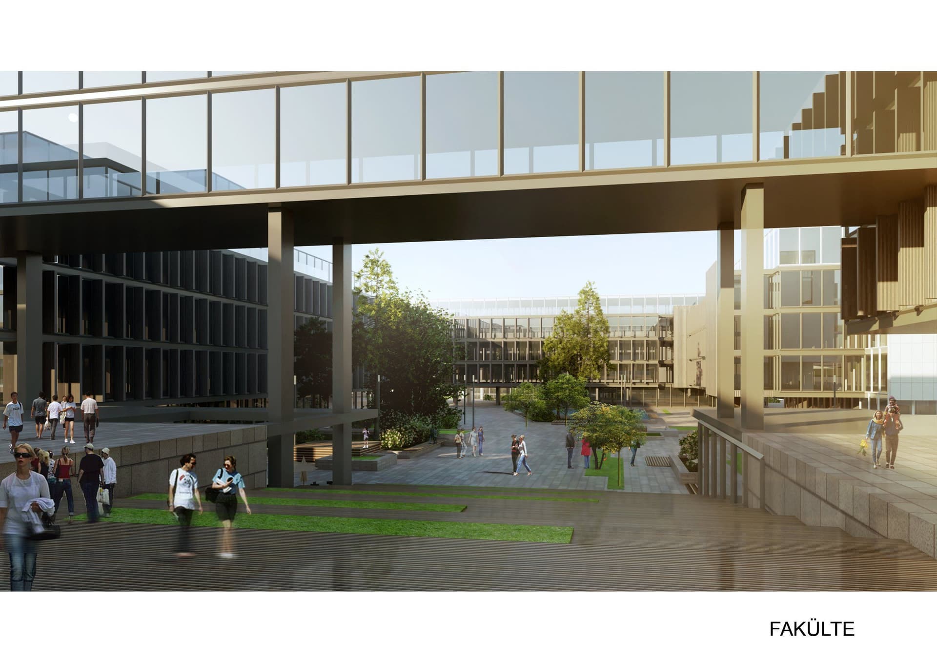 جامعة انقرة ميدبول