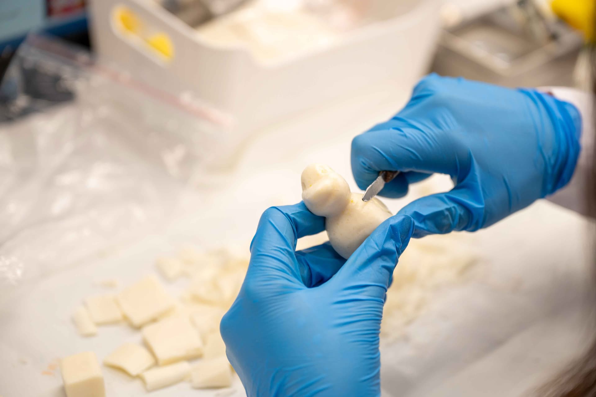 جامعة بهشة شهير