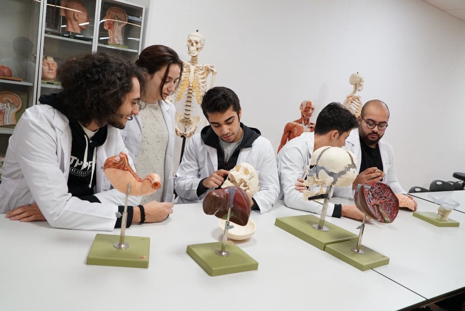 جامعة التن باش