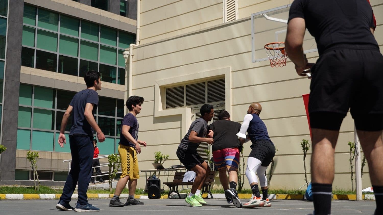 جامعة التن باش