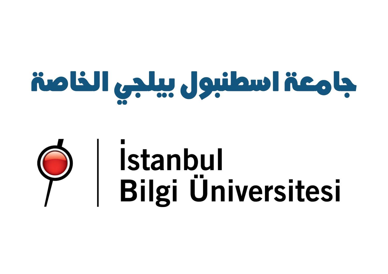 جامعة اسطنبول بيلجي