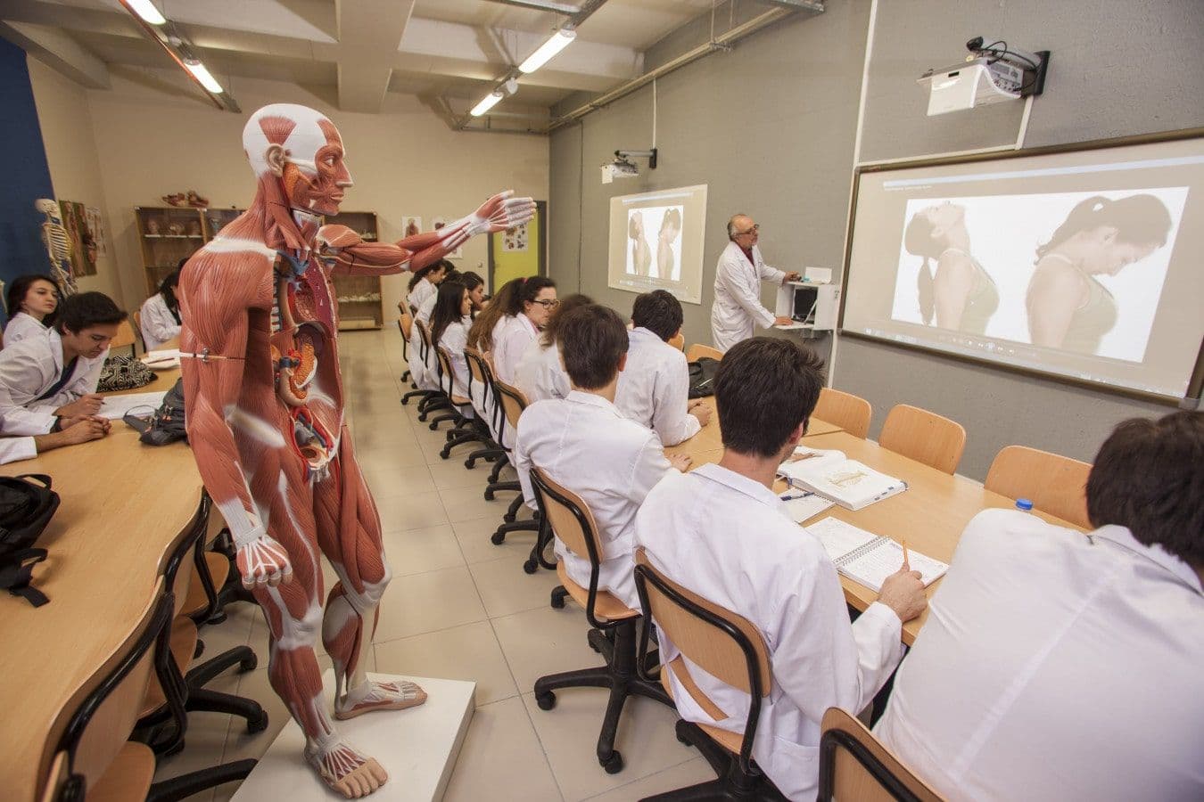 جامعة اسطنبول اوكان