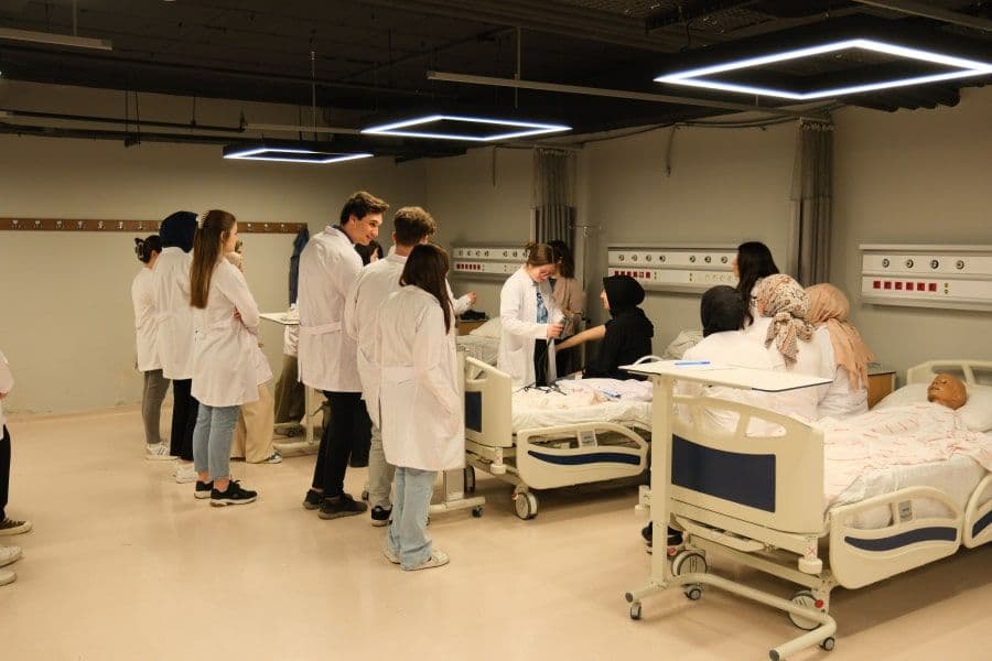 جامعة استينيا