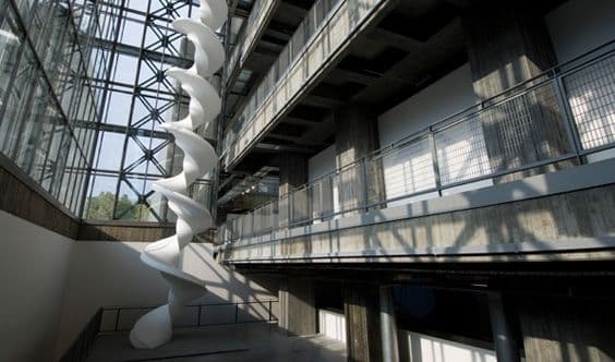 جامعة اسطنبول بيلجي