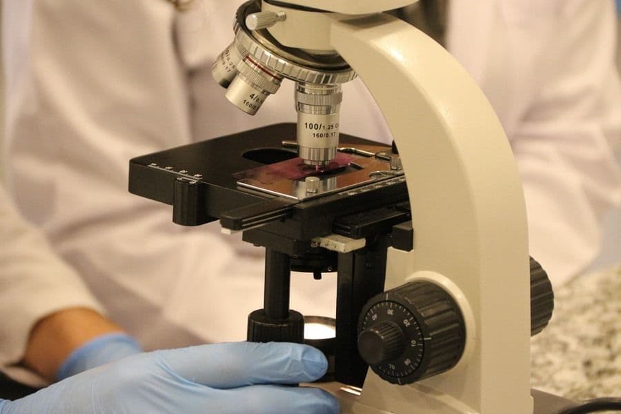 جامعة إسطنبول توبكابي