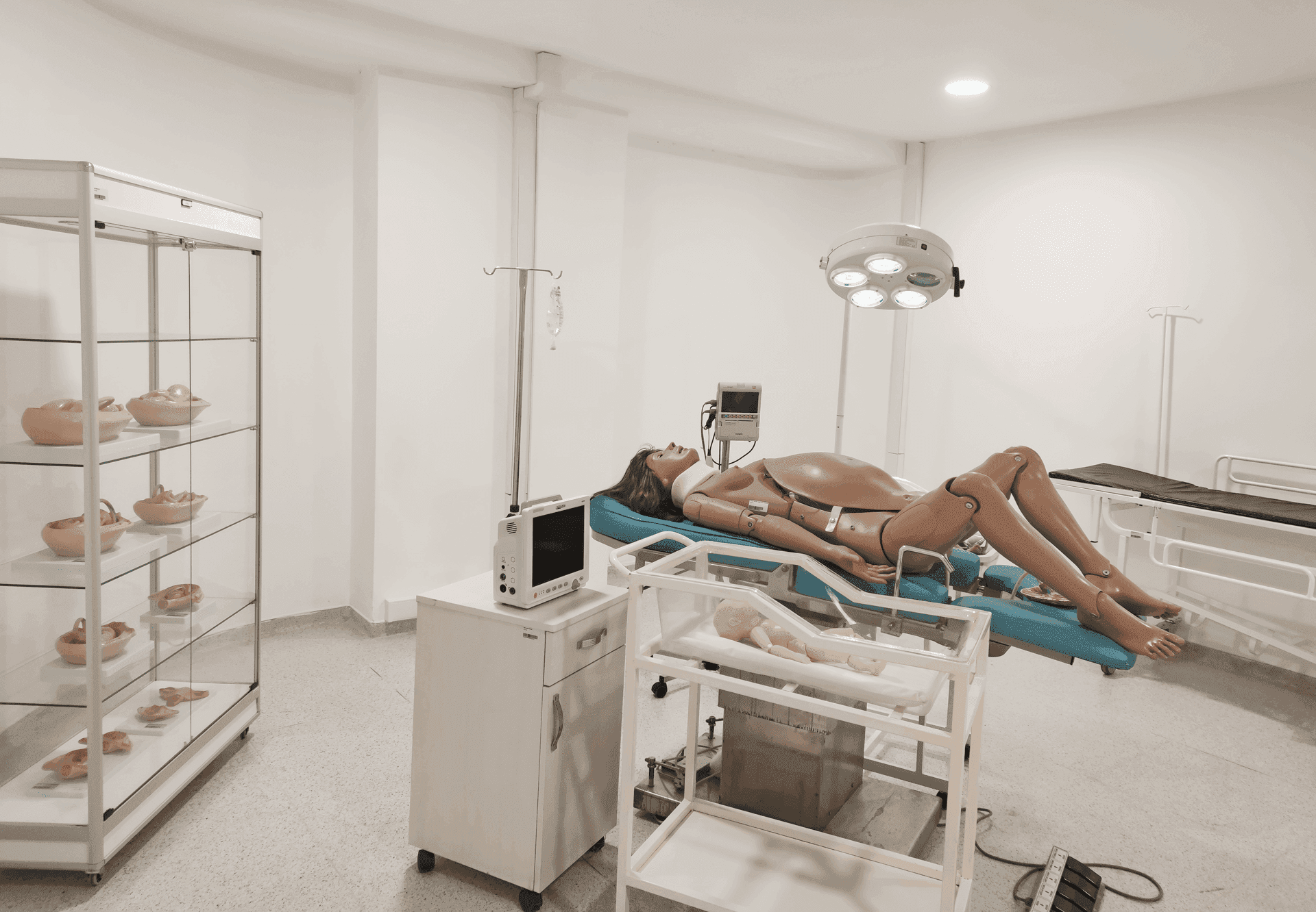 جامعة اسطنبول كينت