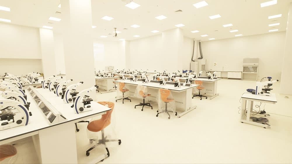 جامعة اسطنبول اطلس