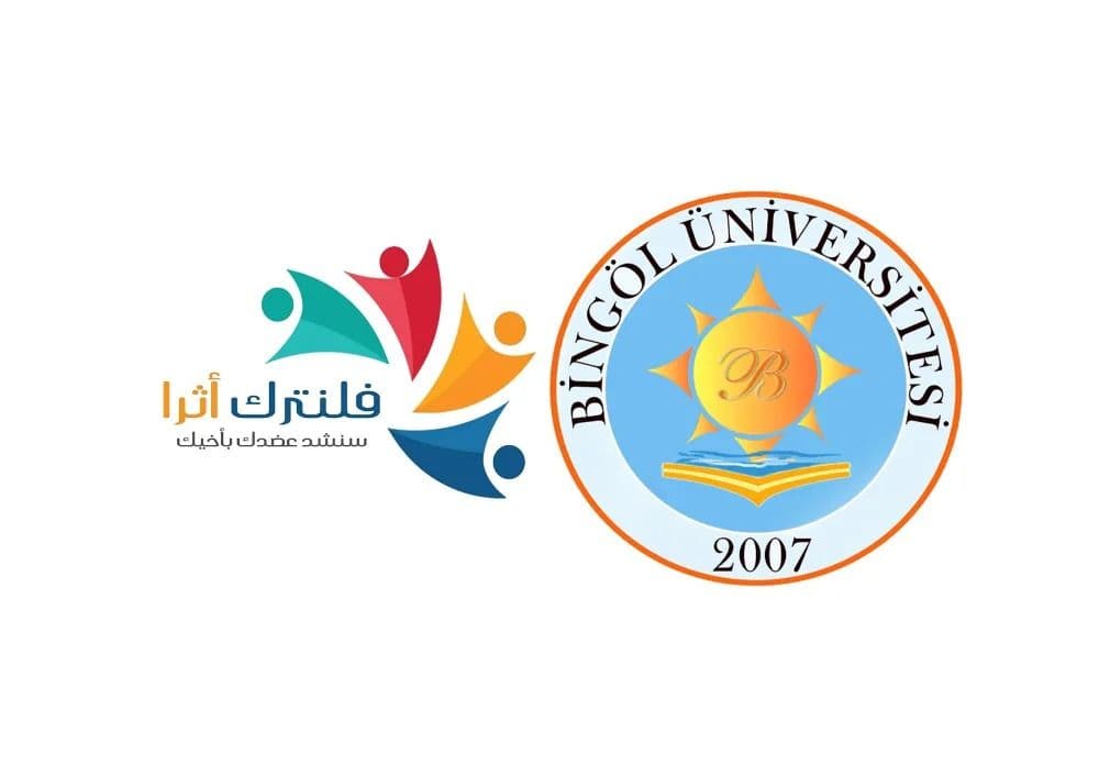 جامعة بينغول