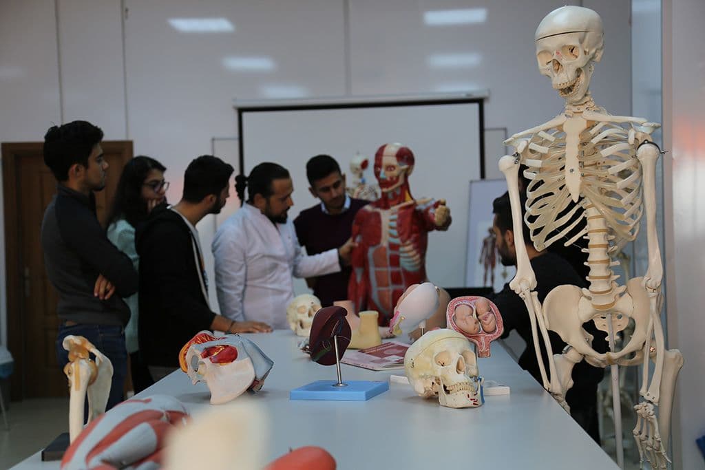 جامعة اسطنبول جيليشيم