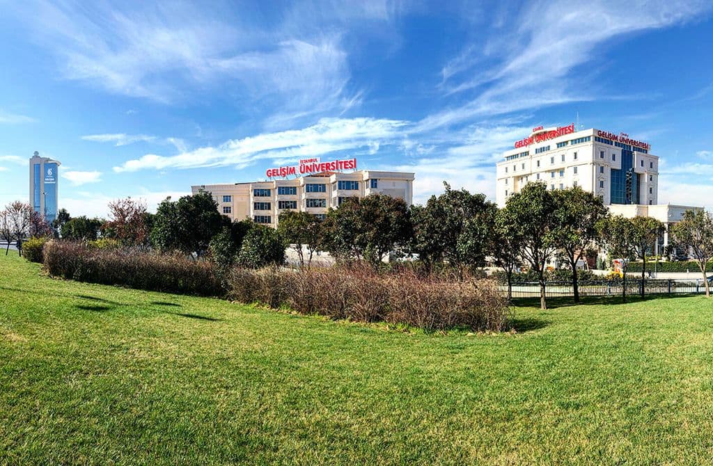 جامعة اسطنبول جيليشيم