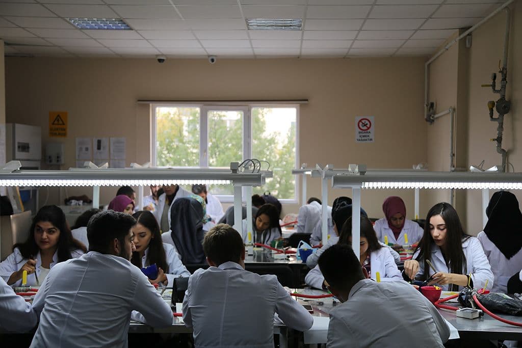 جامعة اسطنبول جيليشيم