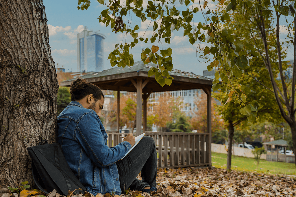 جامعة اسطنبول جيليشيم