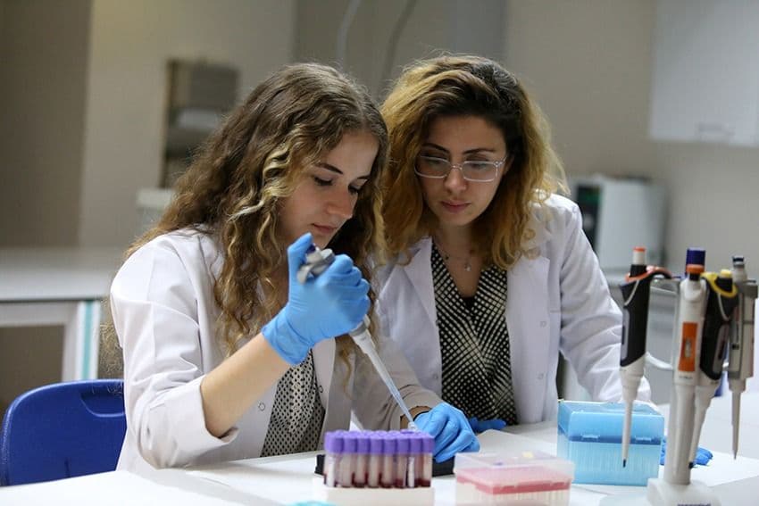 جامعة اسكودار