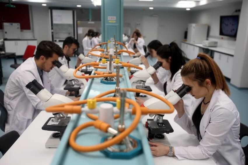 جامعة اسكودار