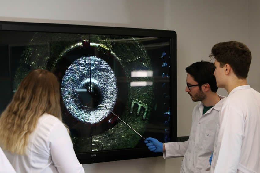 جامعة اسكودار